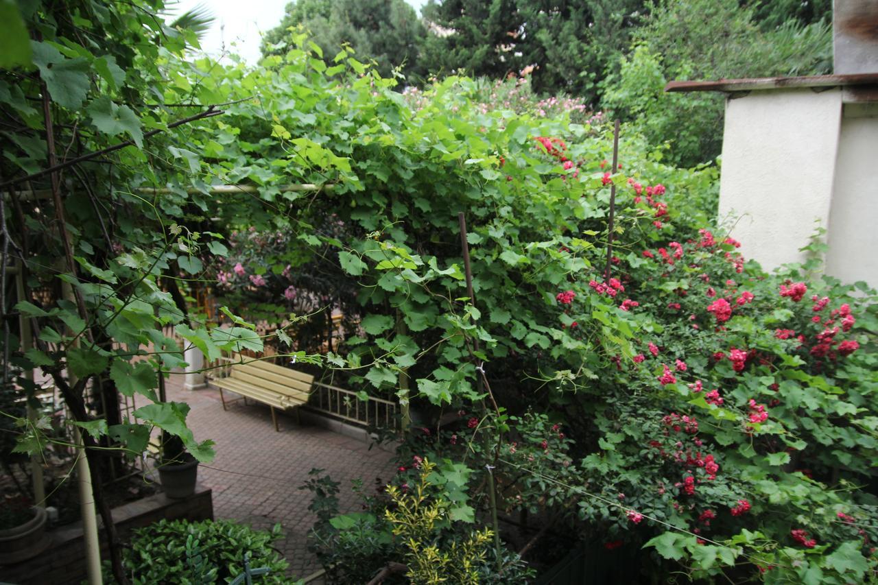 Guesthouse Different Tbilisi ภายนอก รูปภาพ